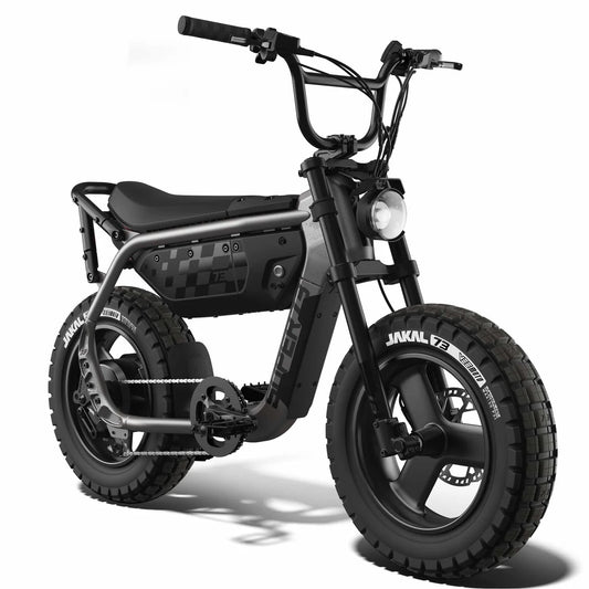 52V SYSTEM • 2P BATTERY (520WH)